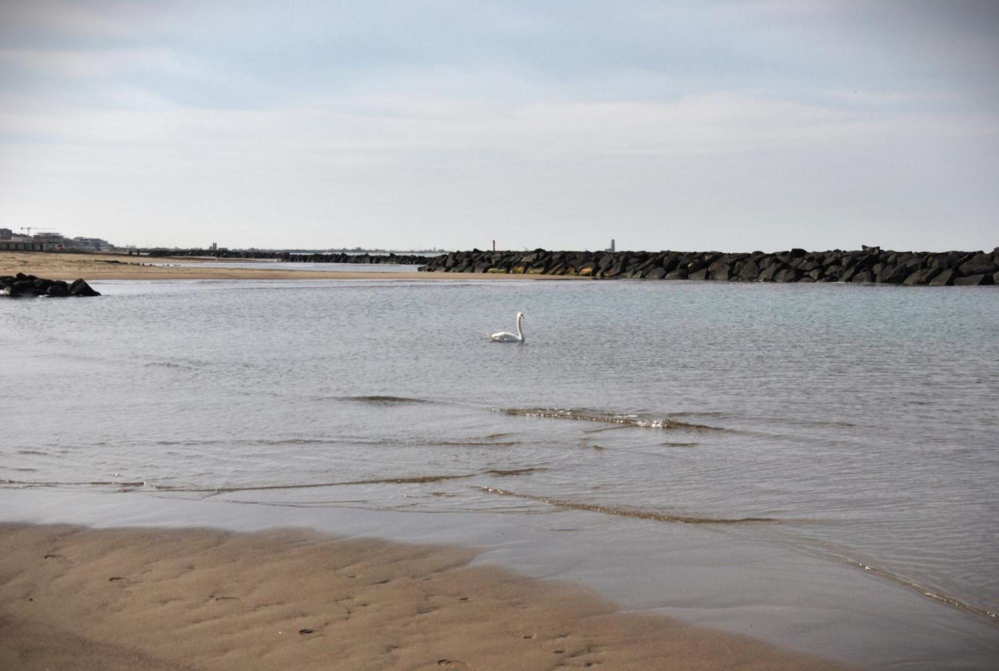 Alloggio Di Giorgia Fiumicino Bagian luar foto