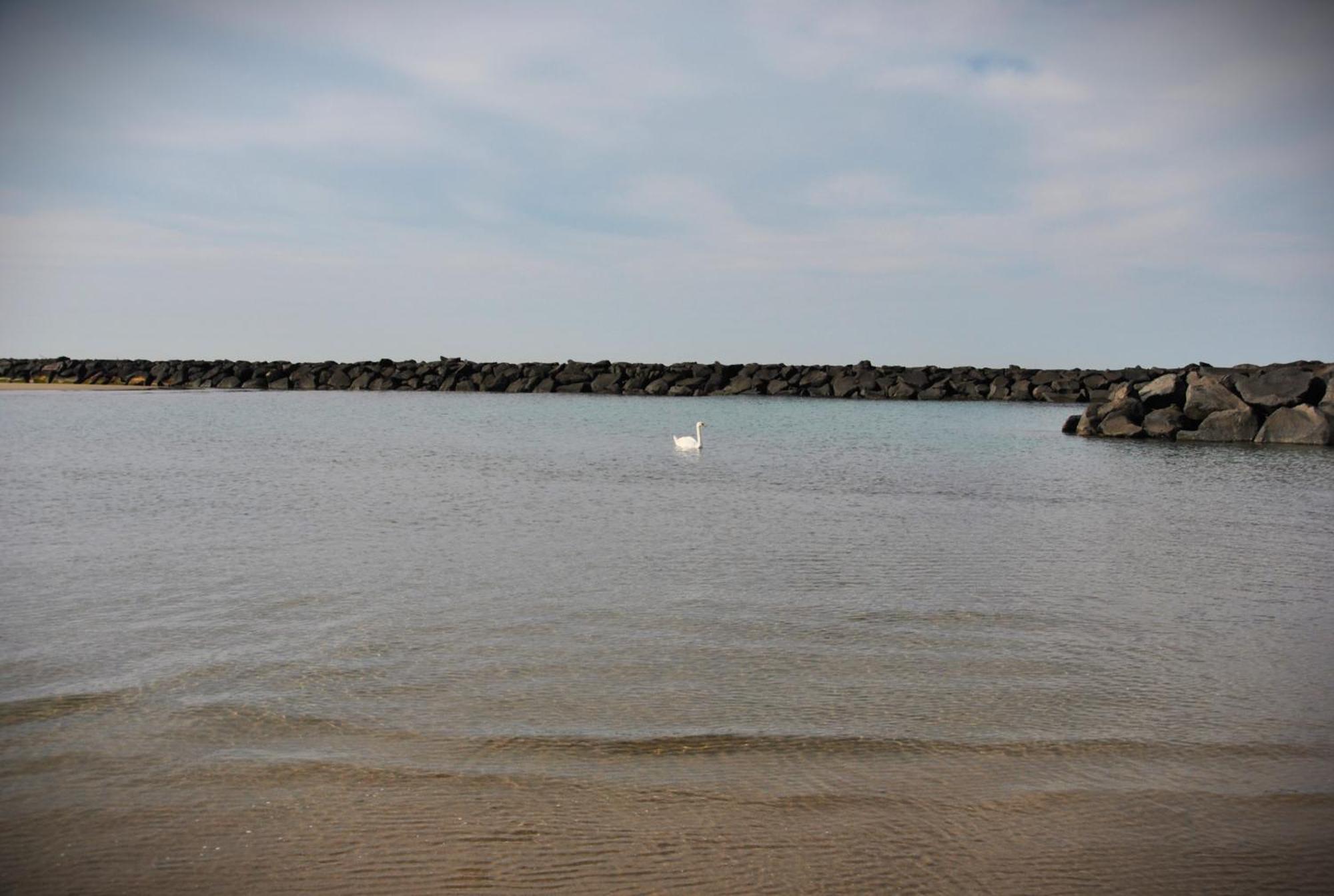 Alloggio Di Giorgia Fiumicino Bagian luar foto