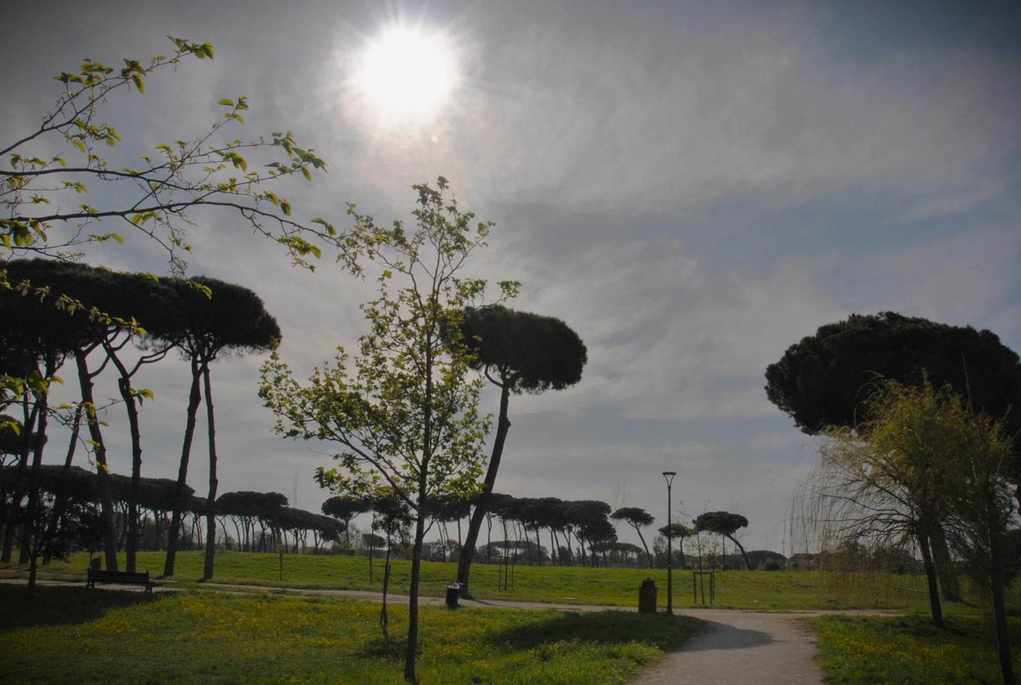 Alloggio Di Giorgia Fiumicino Bagian luar foto